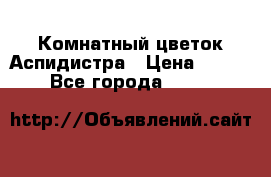 Комнатный цветок Аспидистра › Цена ­ 150 - Все города  »    